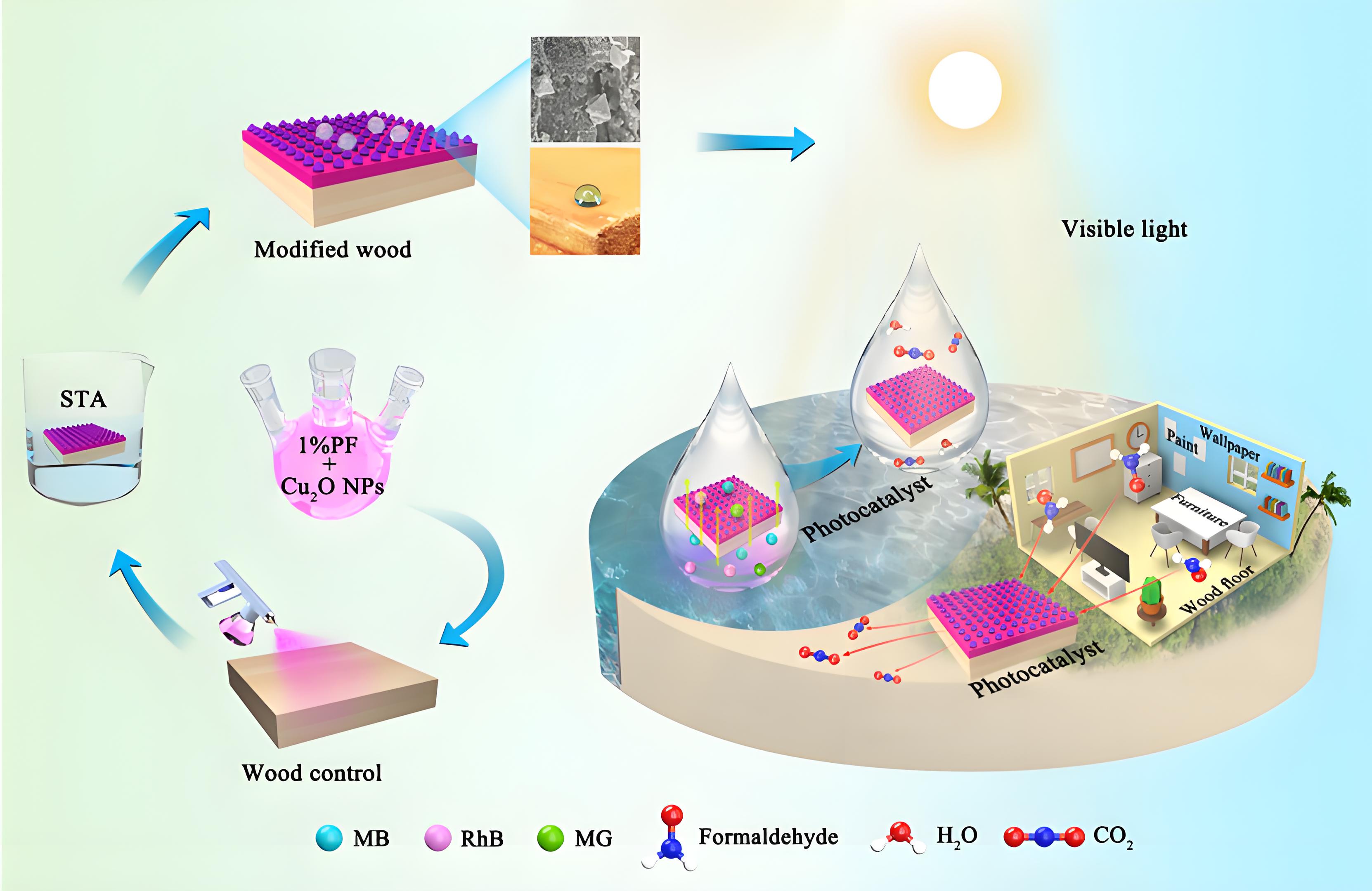 光降解和生物降解塑料袋區別？(圖1)
