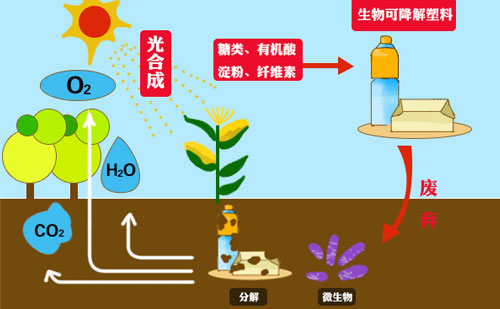 知名廠家?guī)銇砜纯山到獍b袋的市場(chǎng)優(yōu)勢(shì)(圖1)